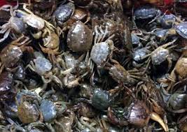 Product Info Image 1